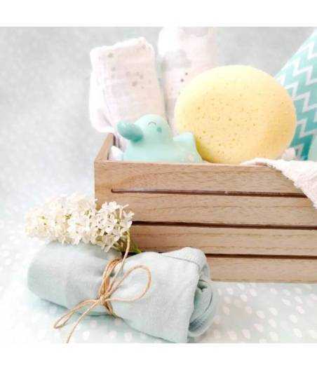 Esponja Hidrofila 0M Saro