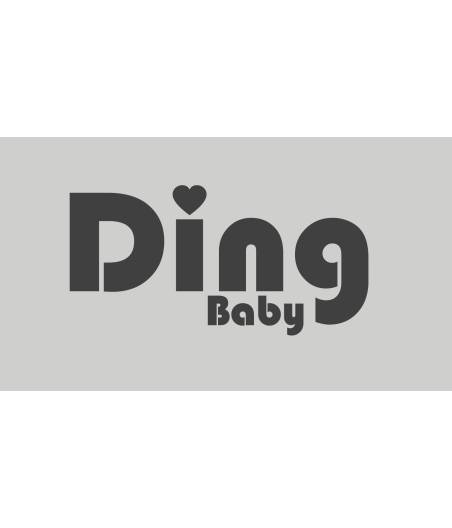 Silla De Coche Lista Ding