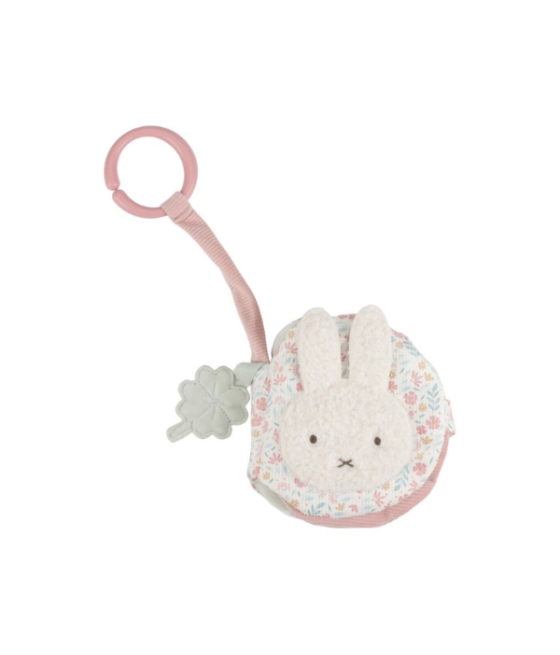 Libro De Actividades Anilla...